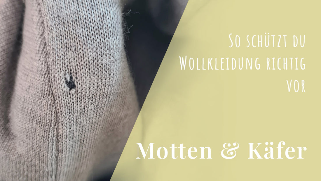 Wollpflege & Schädlingsschutz: Wie du deine Naturfaserkleidung langfristig schützt