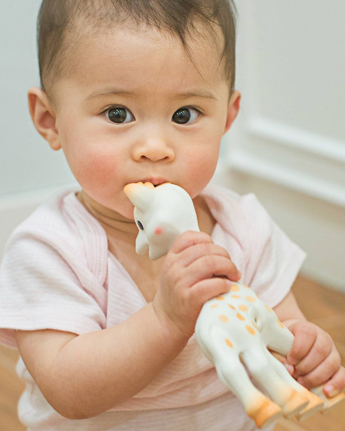 Original 'Sophie la Girafe' - Das perfekte Babyspielzeug aus Naturkautschuk für Babys und Kleinkinder