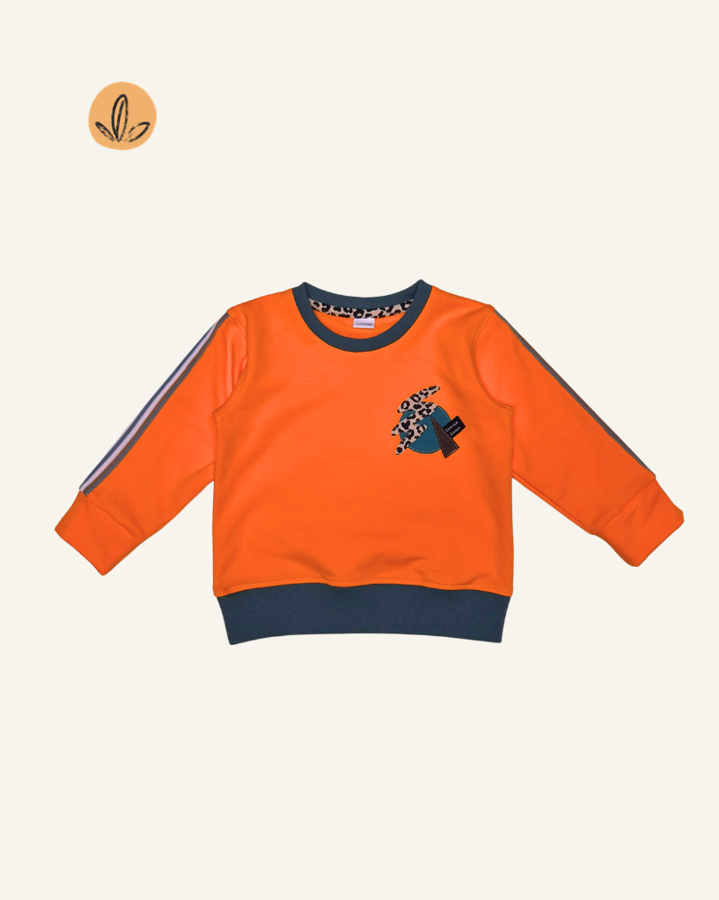 Kinder Sweater Orange mit Applikation